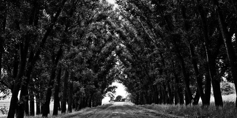 温州瑞城三大板块深度解析:南湖、中心区、滨海,谁才是未来价值高地?