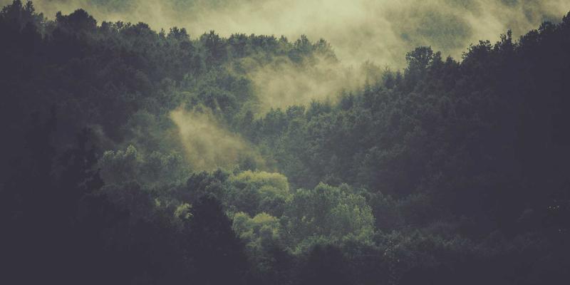 温州瑞城房产新势力：解码‘她经济’下的购房偏好与产品设计变革